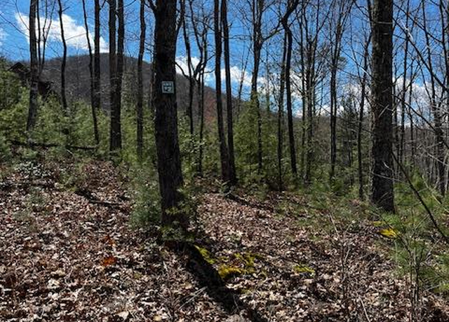 Property at #11&#12 Knights Gap Way, Blairsville, GA 30512