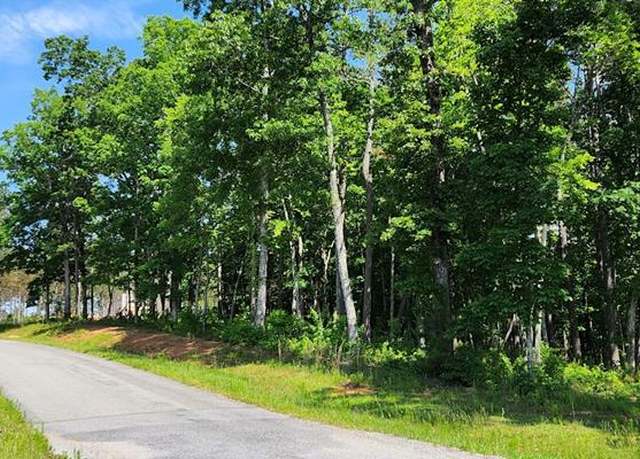 Property at 71 LT High River Xing, Ellijay, GA 30540