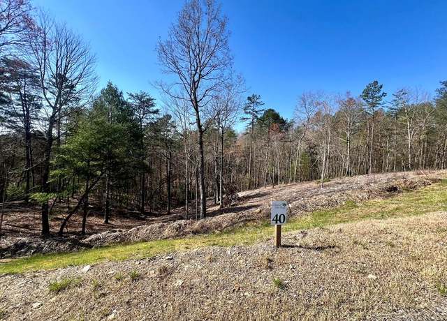 Property at Lot 40 Mountain Laurel Rdg, Mineral Bluff, GA 30559