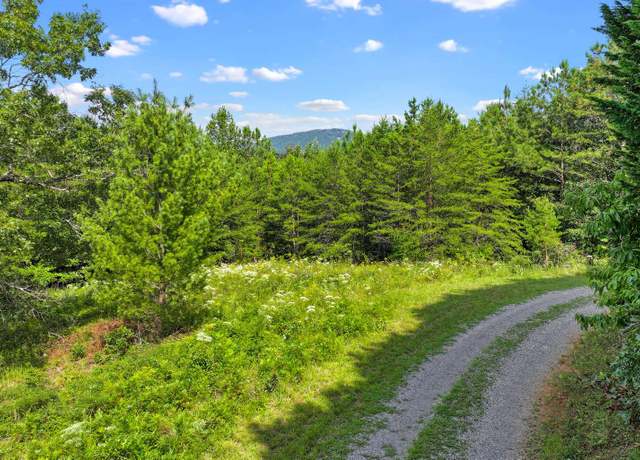 Property at Lot 2 View Dr, Mineral Bluff, GA 30559