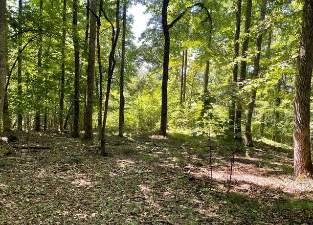 Property at 11B Grandview Dr, Hayesville, NC 28904