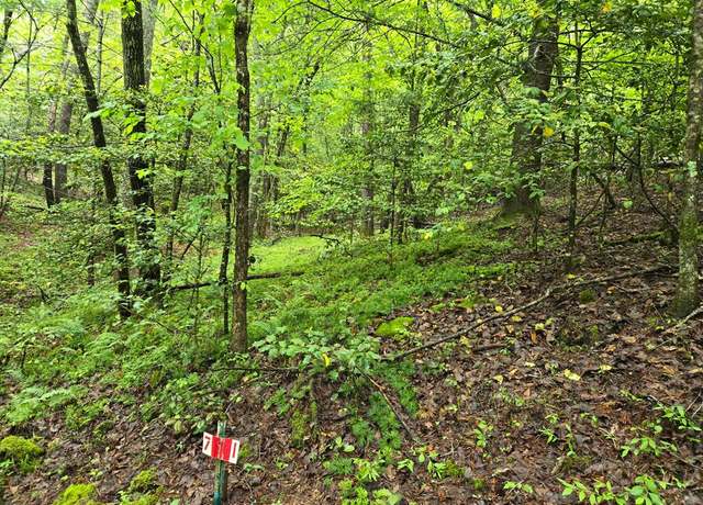 Property at H7 River Sound Vlg, Hayesville, NC 28904