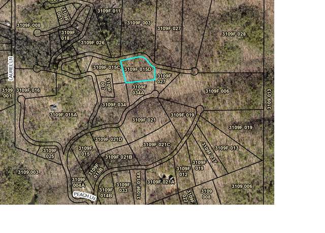 Property at 0 Peach Ln, Cherry Log, GA 30522