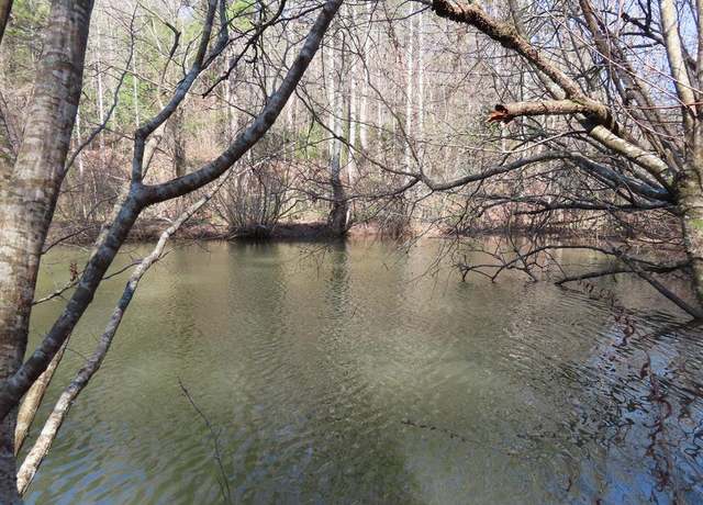 Property at 0 Blazing Star Rd, Ellijay, GA 30540