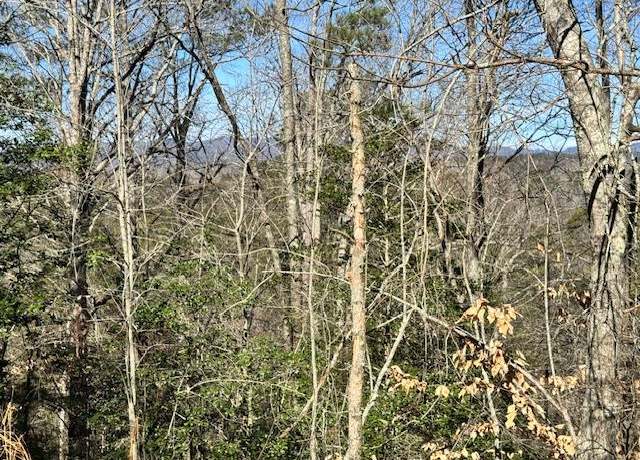 Property at Lot 1198 Lancer Ct, Ellijay, GA 30540