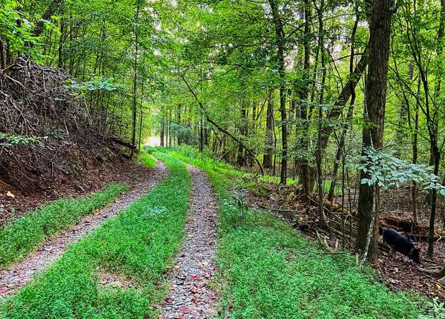 Property at 241 AC Legion Rd, Ellijay, GA 30540