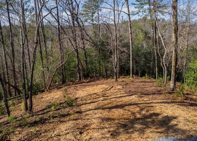 Property at 324 Parody Cir, Ellijay, GA 30540