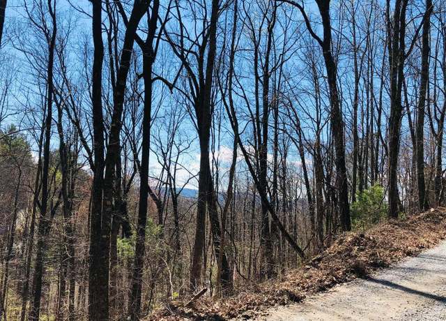 Property at LT113 Laurel Ln, Clayton, GA 30525