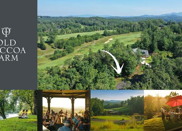 Property at LT192 Trails End Way, Mineral Bluff, GA 30559