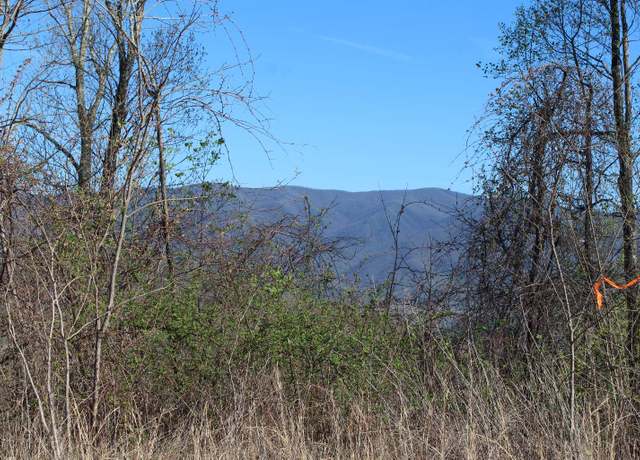 Property at LT 13 The Pinnacle, Hayesville, NC 28904