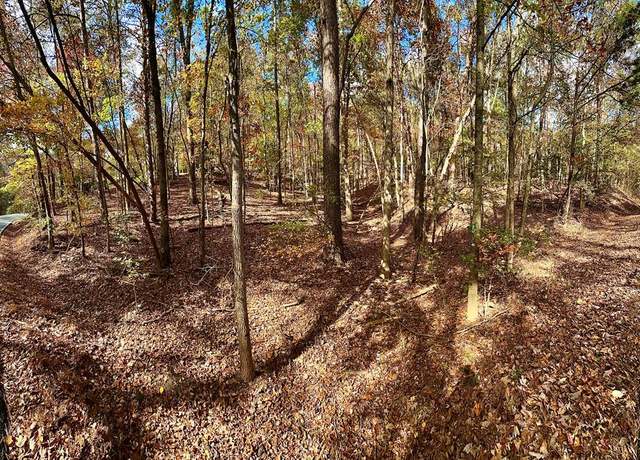 Property at Lt 291 Creekside Trl, Ellijay, GA 30501