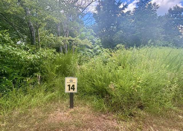 Property at 260 Running Bear Ln, Ellijay, GA 30536