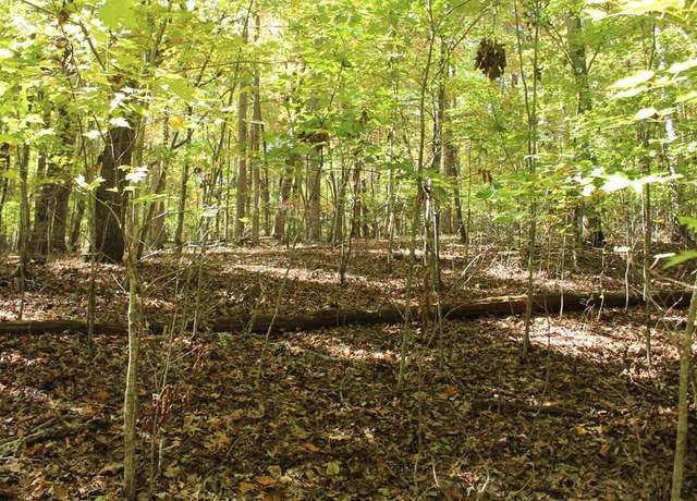 Property at Lot 14 Ed Moore/The Vinings, Hayesville, NC 28904
