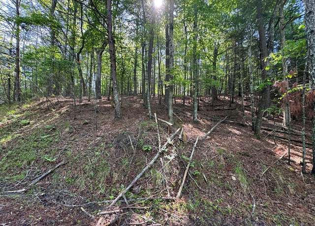 Property at 1336 Lyric Ln, Ellijay, GA 30540