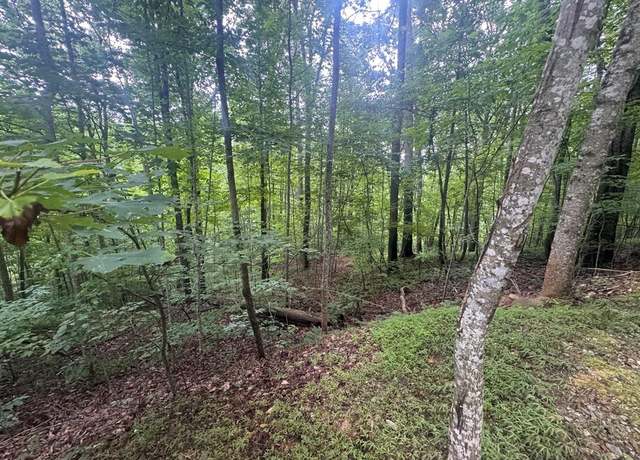 Property at Lot 31 Highland Forge Ln, Blairsville, IA 50512