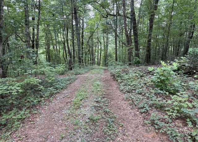 Property at Lot 18 Larue Ln, Ellijay, GA 30540