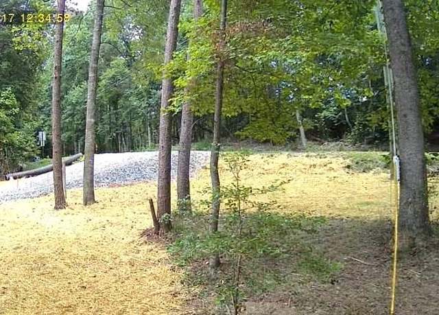 Property at LOT 195 Shenendoa Dr, Ellijay, GA 30540