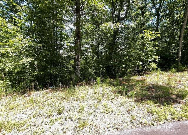 Property at Lot 16 Big Cove Dr, Hiawassee, GA 30546