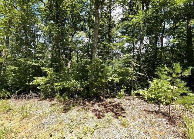 Property at Lot 17 Big Cove Dr, Hiawassee, GA 30546