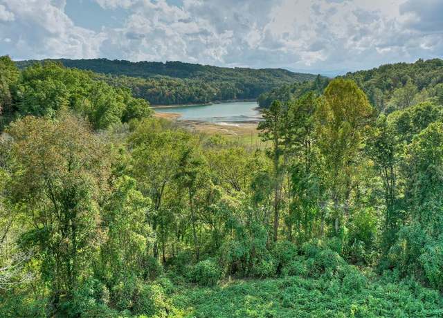Property at 8.04 AC Collins Rd, Morganton, GA 30560