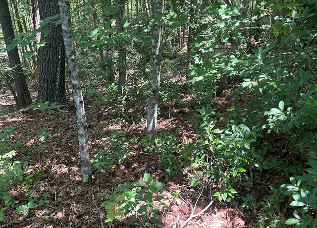 Property at 0 Rj Mountain View Dr, Murphy, NC 28906