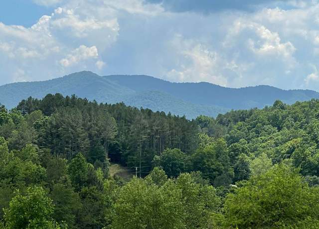 Property at 14-B Saddle Ridge Farms, Warne, NC 28909