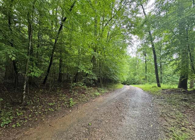 Property at 1.23 AC Bear Run Cir, Ellijay, GA 30540