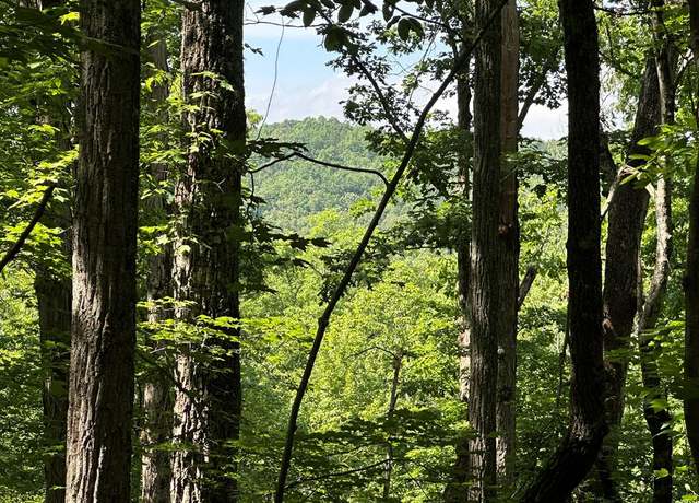 Property at 12.34 Ac Tranquility Cove Rd, Ellijay, GA 30540