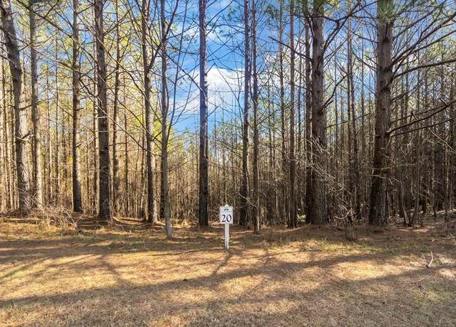 Property at 0 Foxpaw Leaf Ln, Ellijay, GA 30536