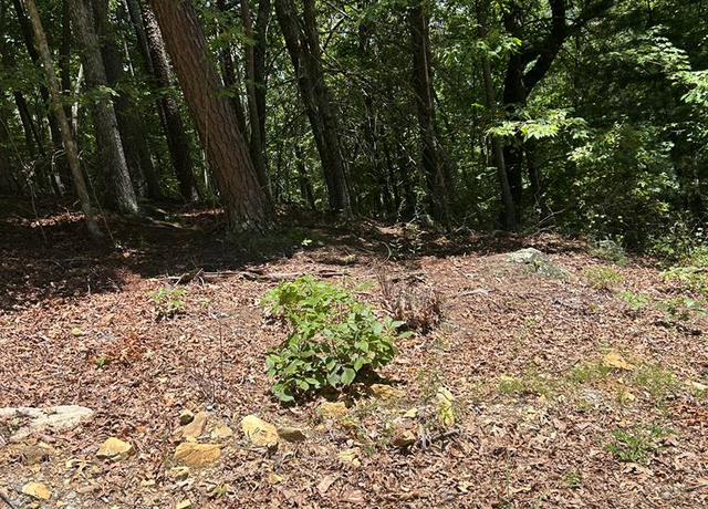 Property at 0 Skyview Acres Dr, Murphy, NC 28906
