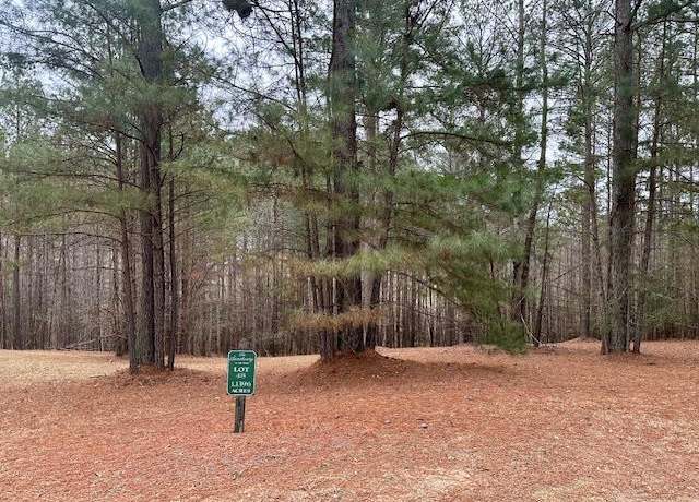 Property at Lot 48 The Sanctuary, Blairsville, GA 30512