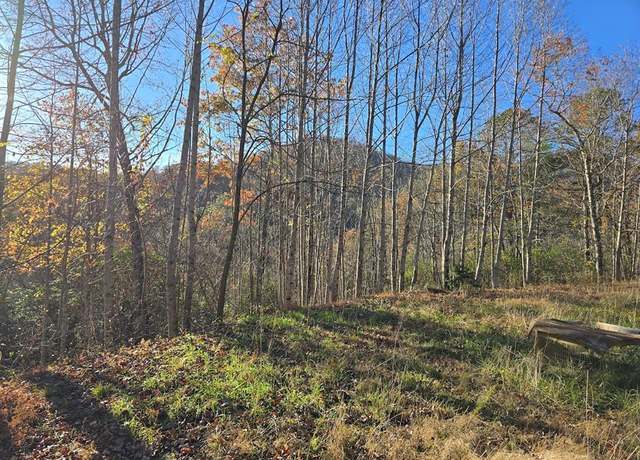 Property at 4730 Laurel Mountain Rd, Hiawassee, GA 30546