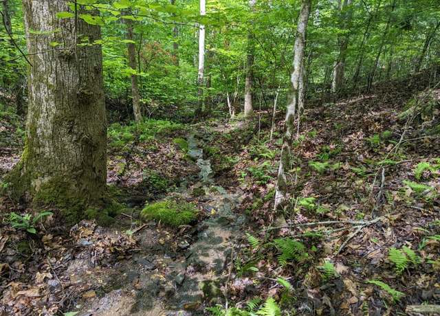 Property at TBD Heritage Trl, Brasstown, NC 28902