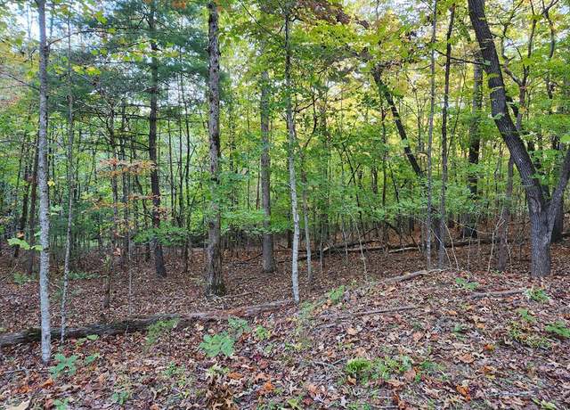 Property at 0 View Trl, Mineral Bluff, GA 30559