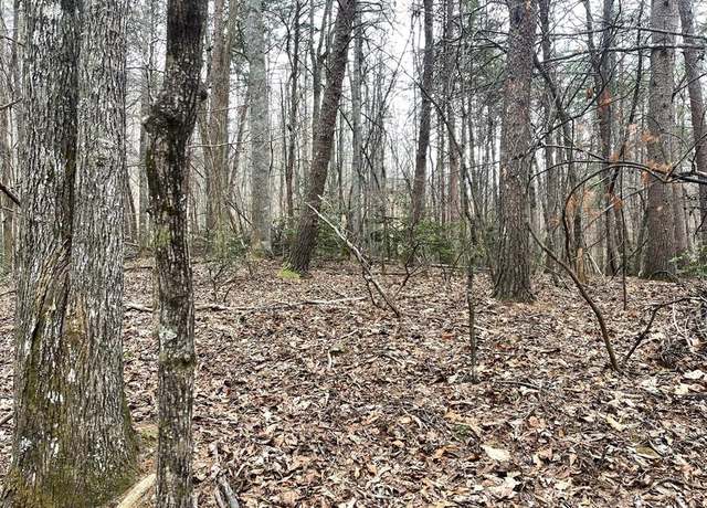 Property at Lot 13 Wilderness Ridge Sub, Blairsville, GA 30512