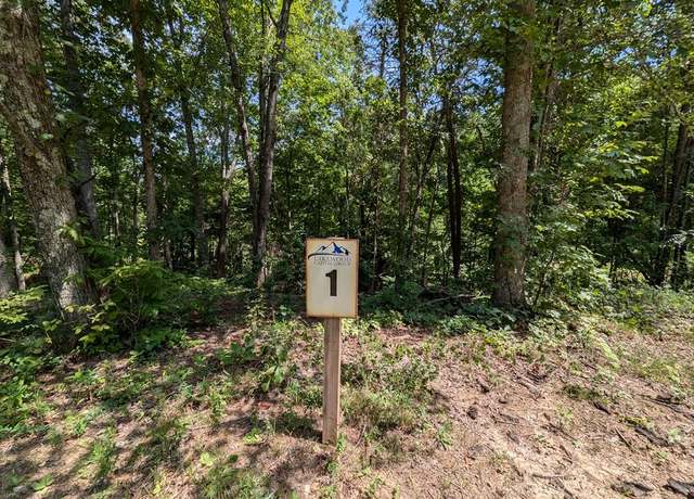 Property at Lot 1 White Oak Cir, Blue Ridge, GA 30513