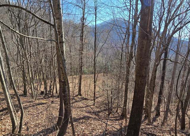 Property at Lot 11 High Mdws, Hayesville, NC 28904