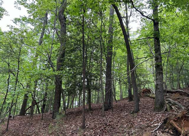 Property at LT595 Jonquil Ln, Ellijay, GA 30540