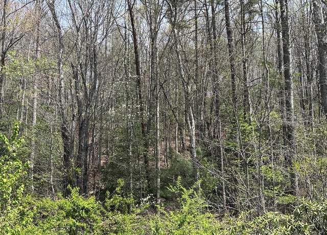 Property at 00 Hwy 64, Murphy, NC 28906