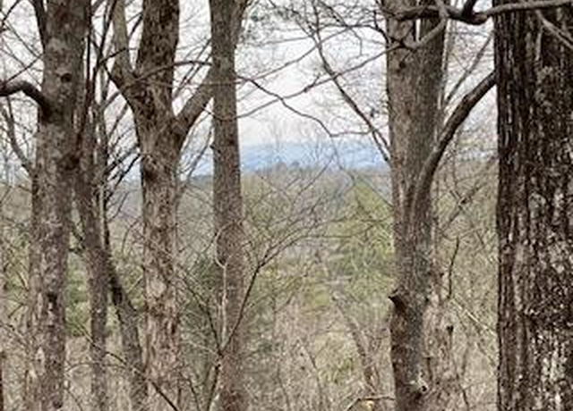 Property at LT 218 Lemmon Ln, Ellijay, GA 30540