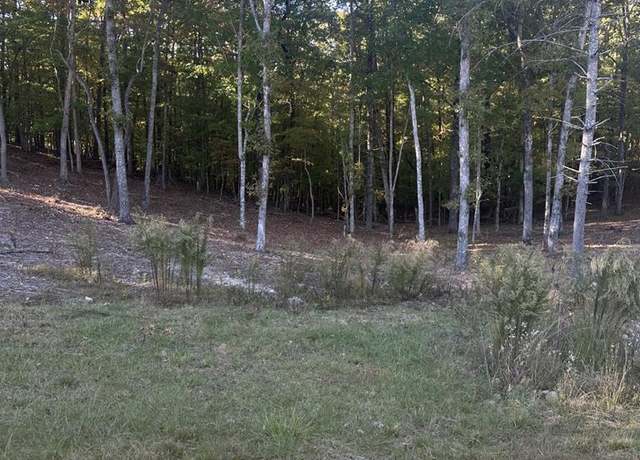 Property at Lot 42 Ridge Dr, Morganton, GA 30560