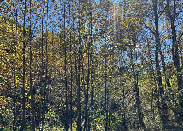 Property at 4AC Tusquittee Rd, Hayesville, NC 28904
