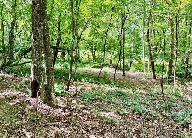 Property at #3 Lower Fox Trl, Blairsville, GA 30512