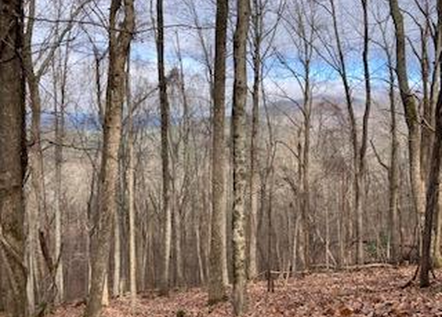 Property at 00 Hickory Trce, Ellijay, GA 30536