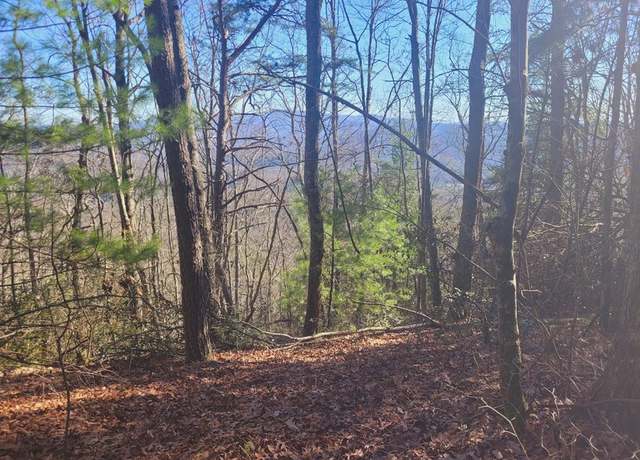 Property at 0 Blalock Rd, Turtletown, TN 37391