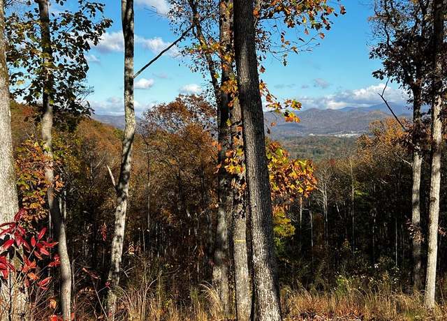 Property at Lot 118 Winding Rdg, Blairsville, GA 30512
