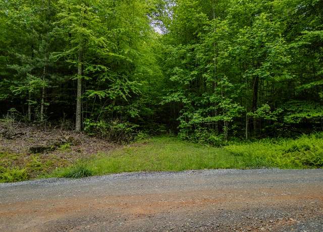 Property at 1.8 Acre Mangums Trl, Blue Ridge, GA 30513
