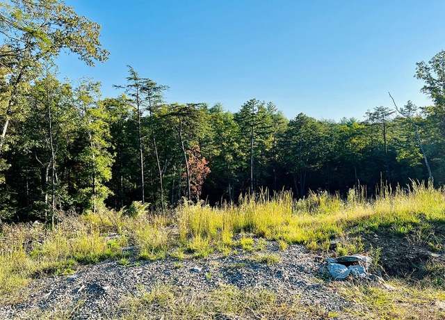 Property at Lot. 10 Mountain Laurel Rdg, Mineral Bluff, GA 30559