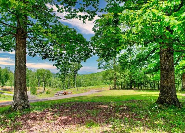 Property at C4 Briar Woods Ln, Blue Ridge, GA 30513