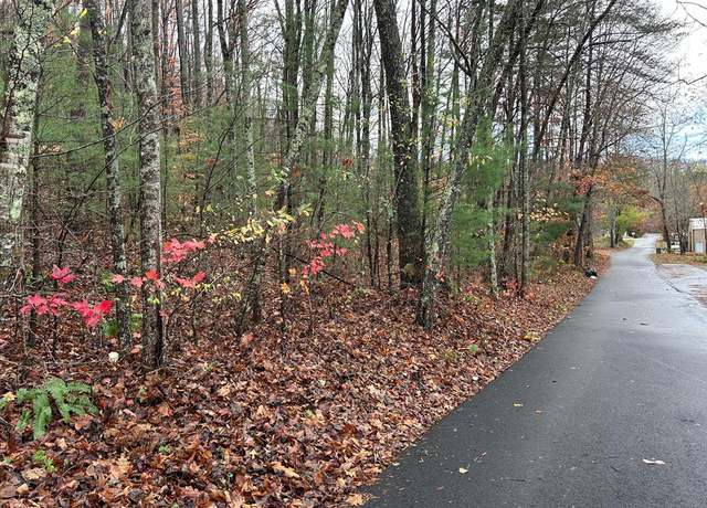 Property at 5.7 ac Butternut Grove Rd, Blairsville, GA 30512
